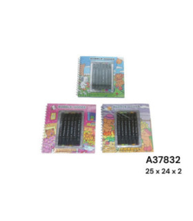 CADERNO P/PINTAR C/PINCEL A37832