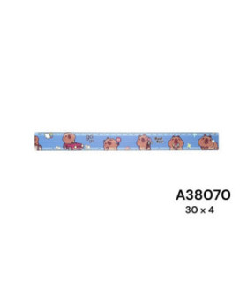 REGUA METAL CAPIVARA 30CM A38070