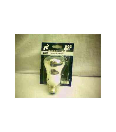 LAMPADA 15W 110/220V  R63