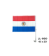 BANDEIRA PARAGUAY 45X30CM LL-060