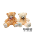 PELUCHE URSO MUS C/LUZ 038509
