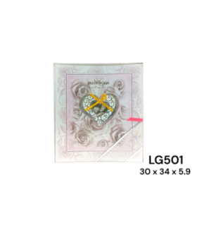 PROMO ALBUM FOTO LG501 xE-12