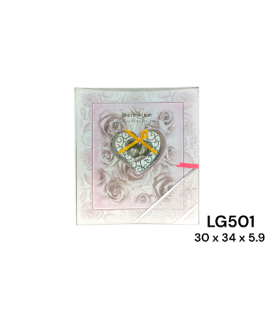 PROMO ALBUM FOTO LG501 xE-12