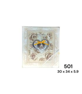 PROMO ALBUM FOTO 501