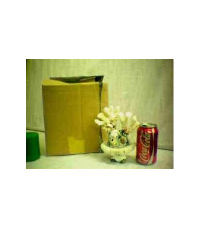 ENFEITE DO MAR  JA0125 xD-6