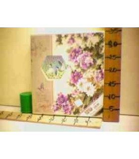 ALBUM 48 FOTO ( L)8505