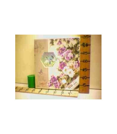 ALBUM 48 FOTO ( L)8505