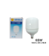 LAMPADA LED BIVOLT 65W