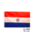 BANDEIRA PARAGUAY 90X150CM LL-050