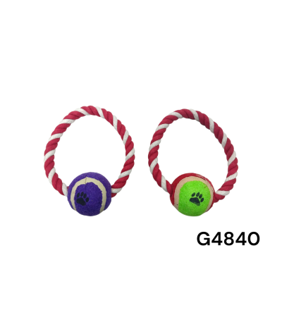 BOLA P/CACHORRO G4840