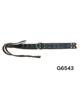 COLEIRA P/CACHORRO G6543 xE-38