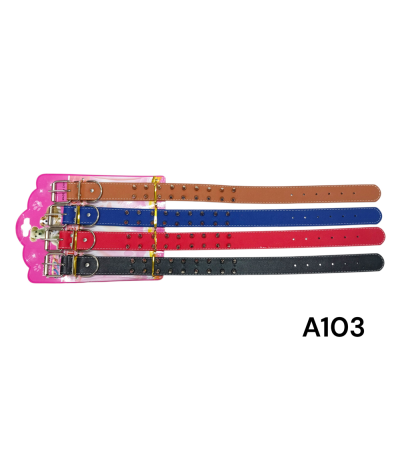 COLEIRA P/CACHORRO C/4PC A103 xE-38