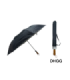 G. CHUVA DHGG
