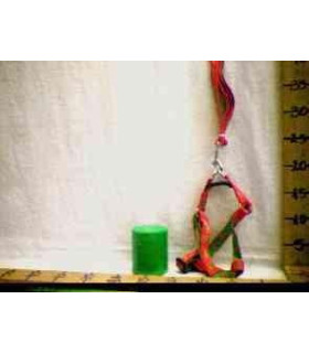 CORDA P/CACHORRO G5307 xE-27