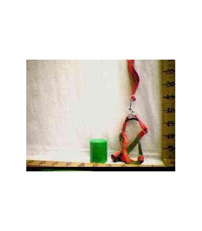 CORDA P/CACHORRO G5307 xE-27