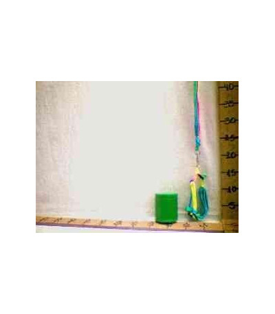 CORDA P/CACHORRO G5304 U02