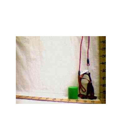 CORDA P/CACHORRO G5317