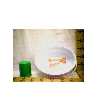 PRATO P/CACHORRO G5300