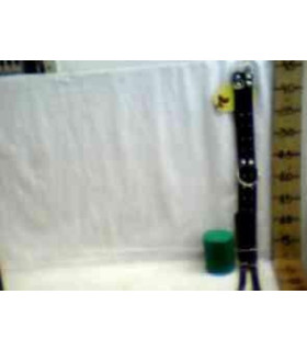 COLEIRA P/CACHORRO G6543 xE-38