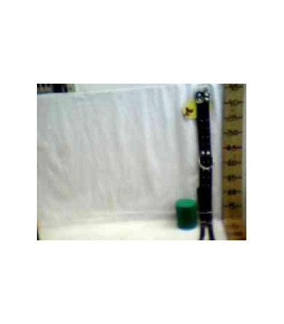 COLEIRA P/CACHORRO G6543 xE-38