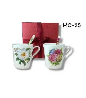 XICARA C/COLHER MC-25 U02