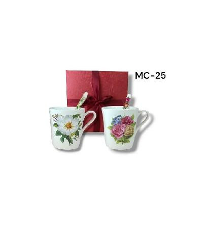 XICARA C/COLHER MC-25 U02