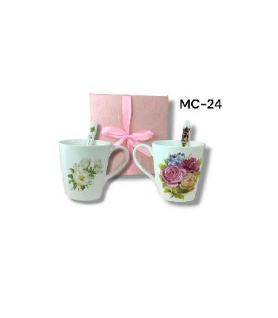 XICARA C/COLHER MC-24 xA-3