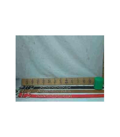 COLEIRA P/CACHORRO 70X3.8CM A193