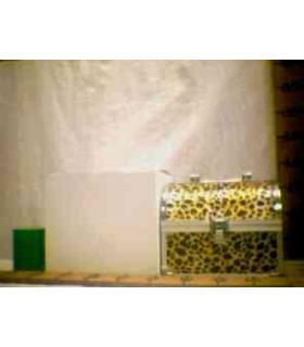 MALETA JOIA LS8405 xD-6 xE-22