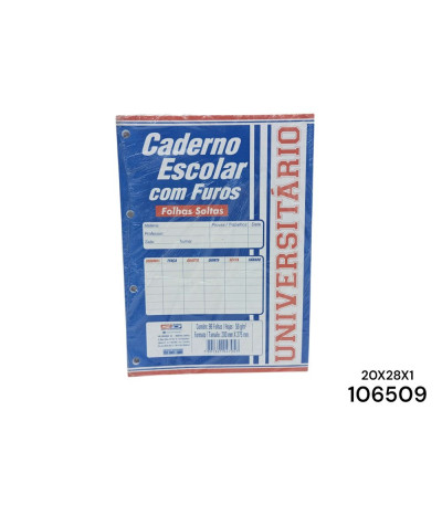 CADERNO C/FUROS 96F 106509