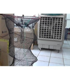 CUBO DE PESCADO GDE 50X120 K-4-1B U02 xA-4