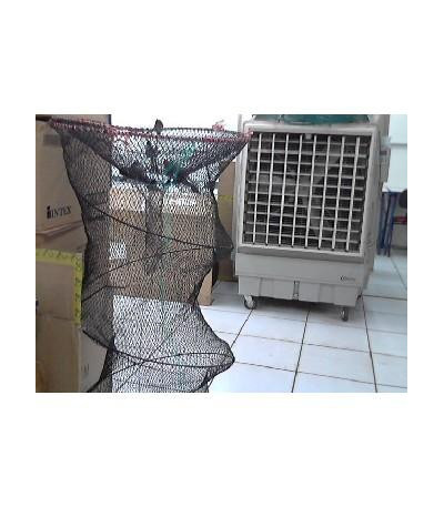 CUBO DE PESCADO GDE 50X120 K-4-1B U02 xA-4