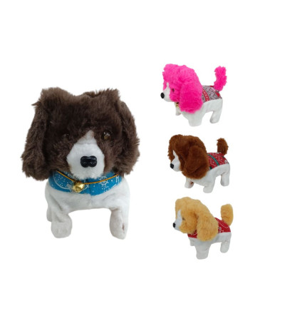 CACHORRO PILA R839A U07 xD-12