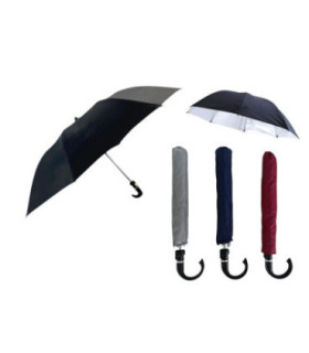 G. CHUVA COLORIDO ASAH1006