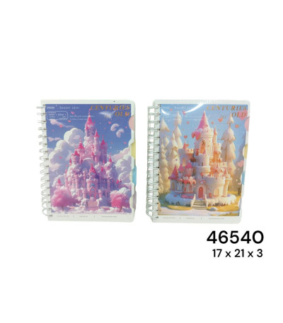 AGENDA 124L (2020) 46540