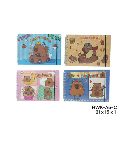 CADERNO P/PINTAR CAPI HWK-A5-C