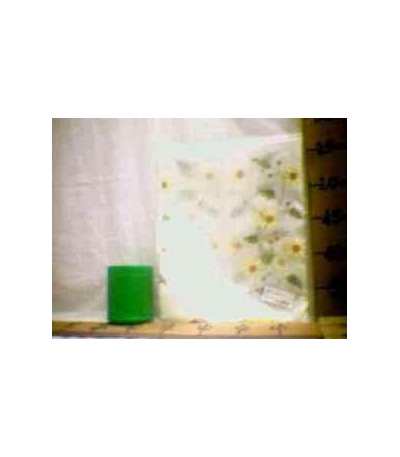 CORTINA SAIA 160X46CM 170-02 U02 xE-45