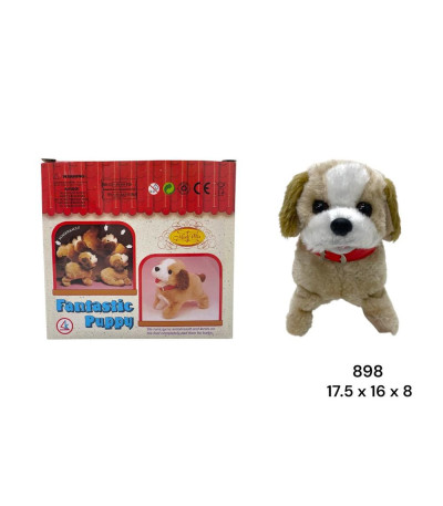 CACHORRO Q SALTA 898 U07 xA-31