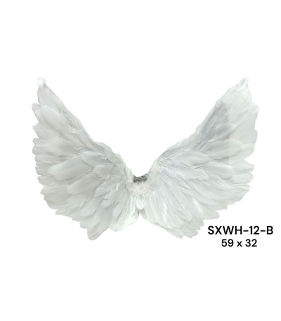 ASA BRANCA SXWH-12-B