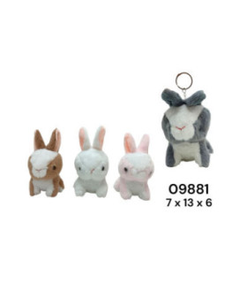 CHAVEIRO COELHO 09881