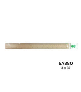 REGUA 30CM 5A880